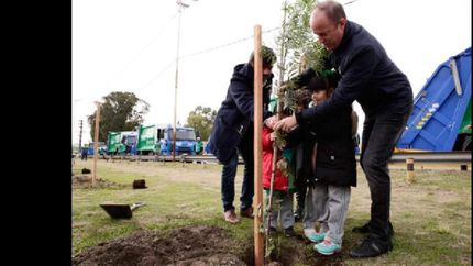 plantan arboles en espacios publicos y plazas de lomas
