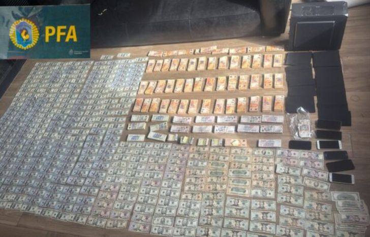 Incautaron medio millón de dólares durante los allanamientos.