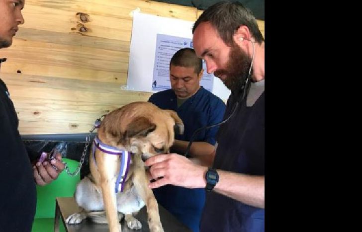 hay fechas durante todo el mes.