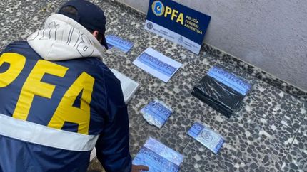 El operativo fue realizado por la Policía Federal.