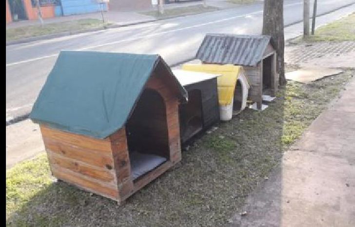 un vecino autorizó a Eliana a poner las cuchas en la puerta de su casa.