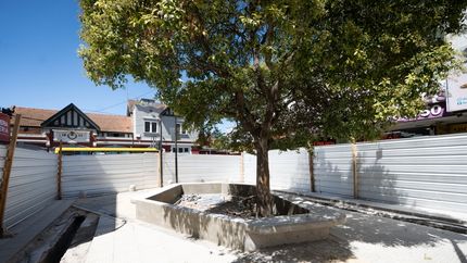 Se pone en valor uno de los lugares emblemáticos de Lomas. Se pone en valor uno de los lugares emblemáticos de Lomas.