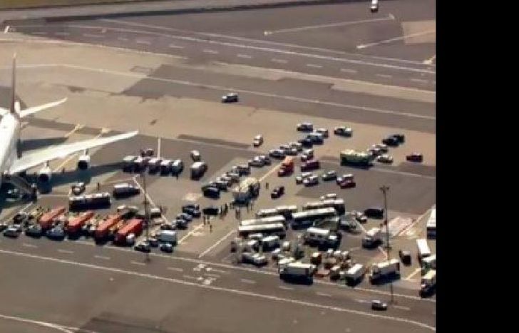 El vuelo llegó desde Dubai.