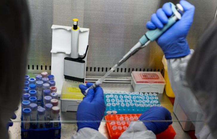 Se completaron la fase 1 y 2 de ensayos.