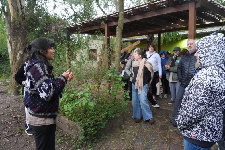 Van a recorrer la reserva para identificar plantas nativas y exóticas.
