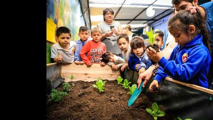 kits para jardines comunitarios