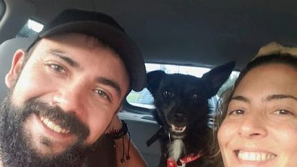 La conmovedora historia de dos rescatistas del conurbano: salvaron más de 100 animales. La conmovedora historia de dos rescatistas del conurbano: salvaron más de 100 animales.