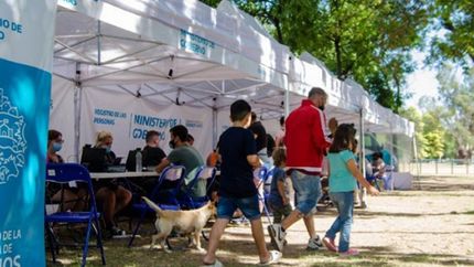 Los operativos se realizarán siempre por la mañana, de 9 a 15.