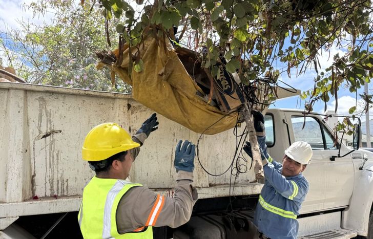Prevención del dengue en Avellaneda.