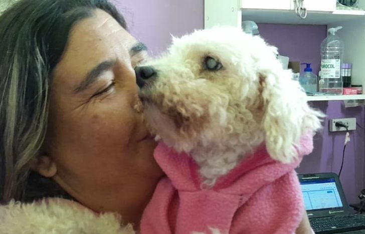 Erika es de Centenario y pide que la ayuden para encontrar hogar para cuatro perritos.