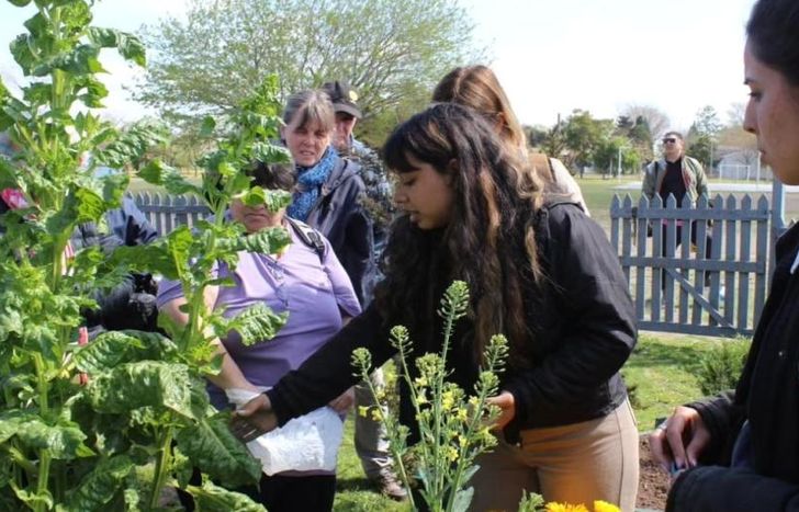 Llegó la primavera a Lomas.