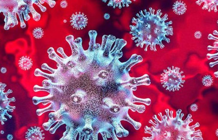 Confirman que se halló una nueva variante de Covid en Argentina.