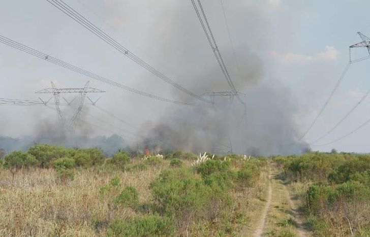 El incendio, ayer, desde lejos.