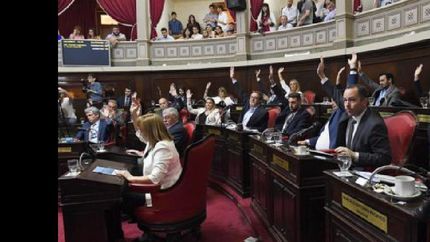 avanza el proyecto para asistir economicamente a hijos de victimas de femicidios