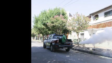 continuan las acciones para prevenir el dengue en lanus