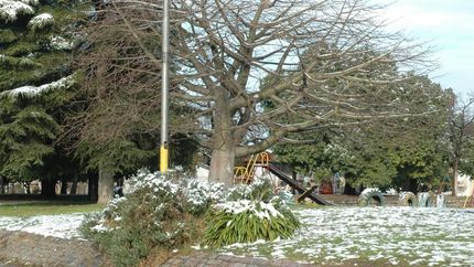 La Plaza Libertad, con nieve.