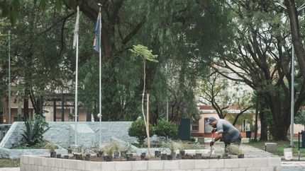 El programa Forestar en Comunidad se despliega en todo el territorio lomense.