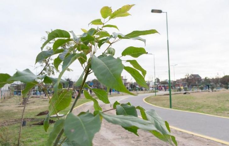 El parque está ubicado en Recondo al 1200.
