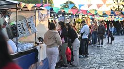 Este sábado y domingo hay feria en la Plaza Libertad, de Lomas Oeste.