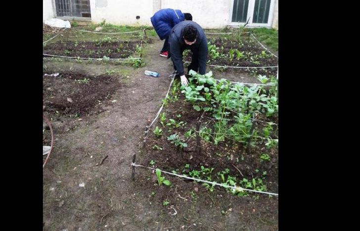 El proyecto “huerta Lomas” llega a escuelas de todo Lomas.