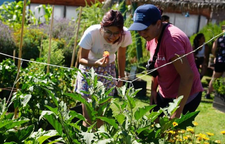 En los talleres de huerta brindan conocimientos sobre cultivos y control de plagas.