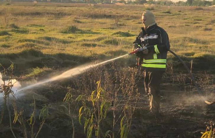 Se generó en el espacio de la empresa Covelia de Lomas.