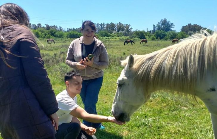 Sumar voluntarios es fundamental para la ONG: de esa manera podrán seguir salvando la vida de distintos equinos.