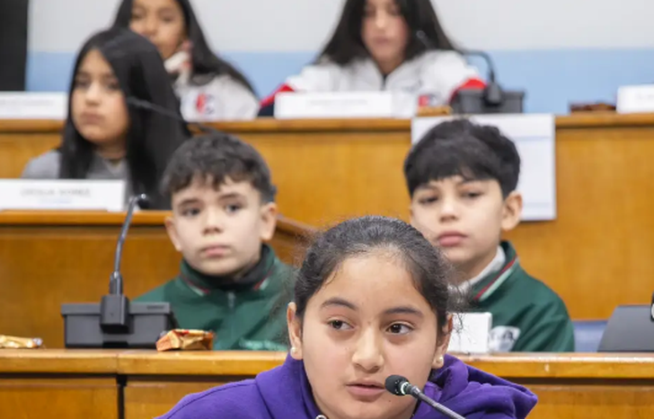 Los estudiantes debatieron en el Concejo sus propuestas para mejorar Lomas.
