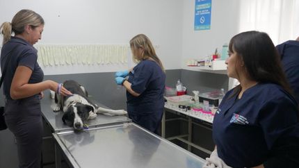 El hospital está ubicado en 12 de Octubre 1100.