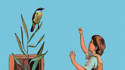 La imagen que ilustra.