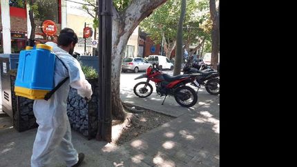 Con una aplicación de bombeo manual, las cuadrillas utilizaron productos que están bajo control técnico y no producen daños a los vecinos.