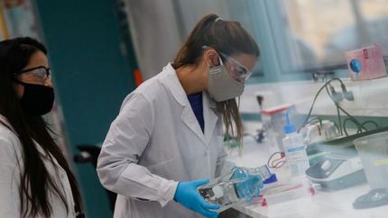 participan voluntarios.