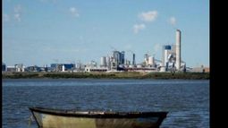 pastera