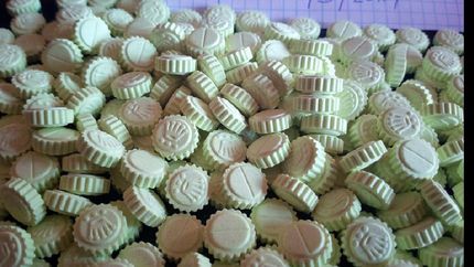 Tenían 565 pastillas de éxtasis, cuyo valor de mercado asciende a unos $170.000.