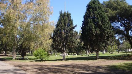 El Parque de Lomas recibe a miles de vecinos todos los días. El Parque de Lomas recibe a miles de vecinos todos los días.