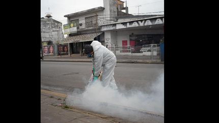 nuevos operativos de control de plagas en los espacios publicos