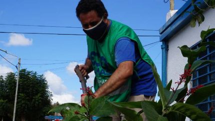 Se llevó adelante una forestación de árboles nativos.