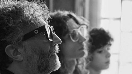 Fito y sus etapas.
