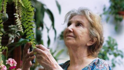 Norma Aleandro, en una gran papel.