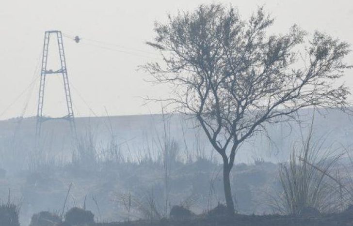 El humo después del fuego en las islas del Paraná.