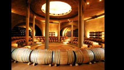 Estados Unidos, el Reino Unido, Canadá, México, Brasil, Dinamarca, los Países Bajos, Suiza, Suecia y Alemania, fueron los principales mercados de exportación.