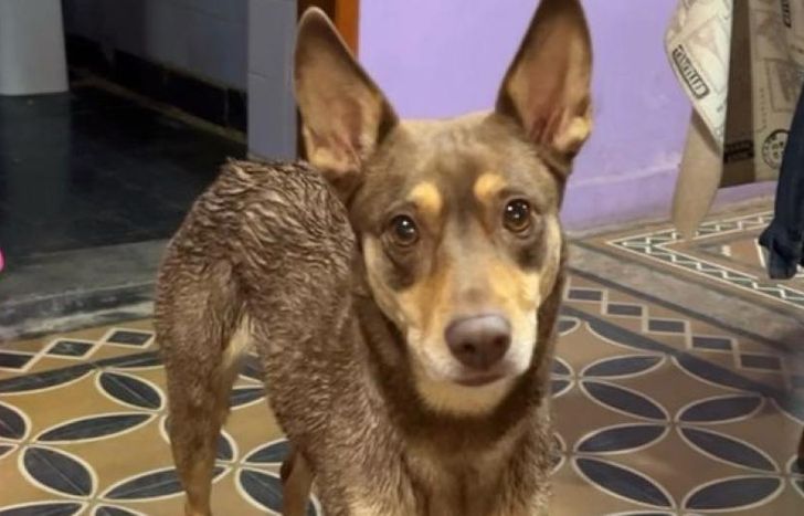 La familia de Almdendra la busca desesperadamente, con el sueño intacto de recuperarla.