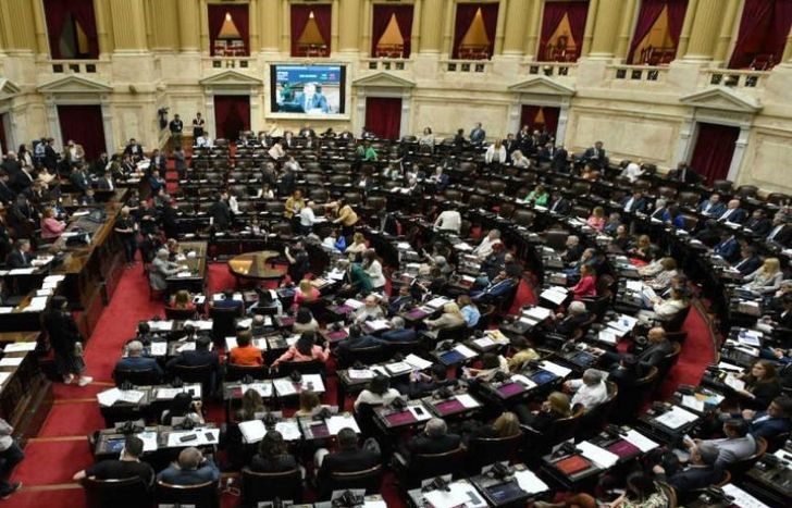 La Ley Ómnibus fue aprobada en general en la Cámara de Diputados.