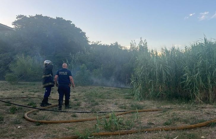 Los Bomberos de Lomas, otra vez en acción en la Reserva Santa Catalina.