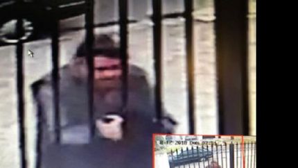 siguen buscando a la perra que fue robada de su propia casa