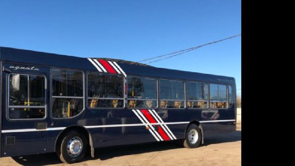 La línea de colectivo 543 de Lomas alienta a la Selección en todos los recorridos