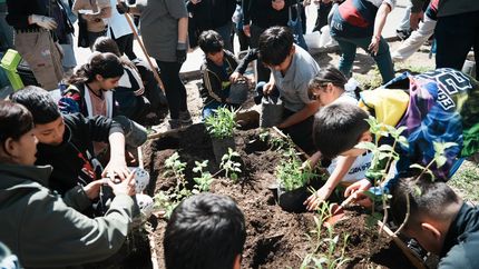 Hay nuevas huertas en escuelas e instituciones de Lomas.