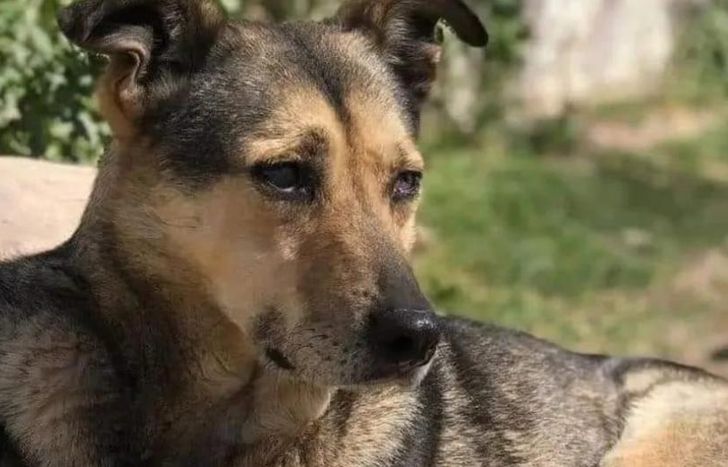 Buscan la forma de no ser desalojados.