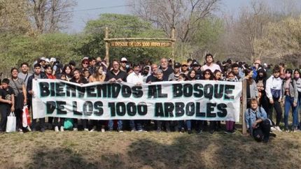 Del proyectaron participaron vecinos, instituciones y ONGs.