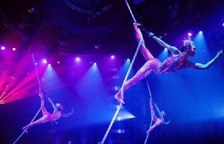 BUSCAN UN SALVATEJE.